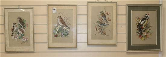 M Sherborne, four watercolour and gouache, ornithological studies, signed, 36 x 23cm